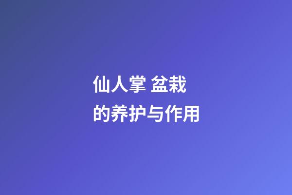 仙人掌 盆栽的养护与作用